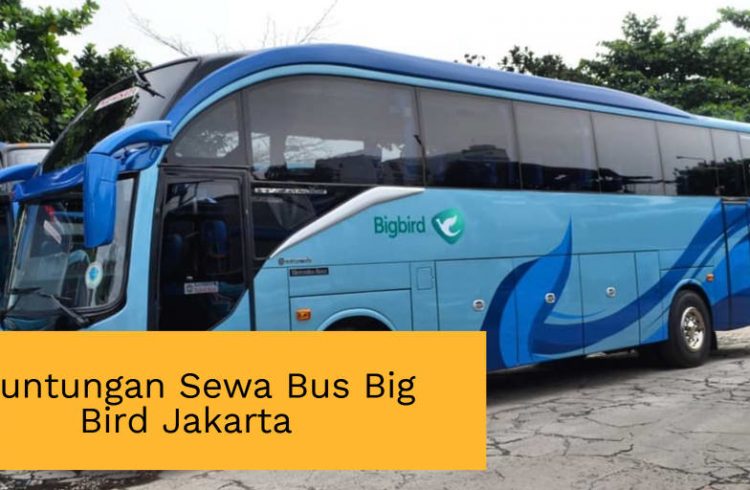 Keuntungan Sewa Bus Big Bird Jakarta Yang Didapatkan Pemesan