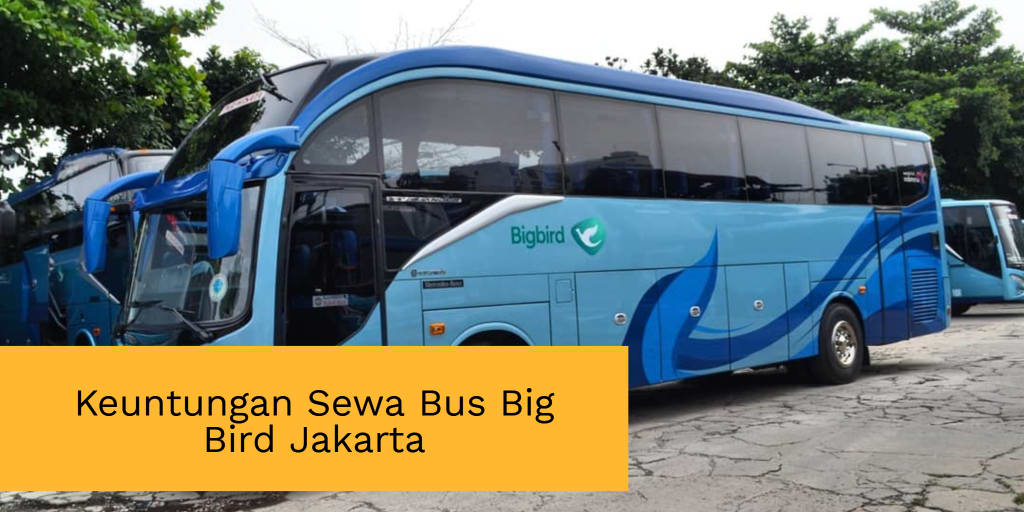 Keuntungan Sewa Bus Big Bird Jakarta Yang Didapatkan Pemesan